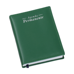 Agenda Compacta Permanente Metalizada Lisa Verde