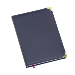 Agenda Diária Capa Lisa Azul