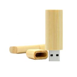Pen Drive Ecológico de Madeira Tubinho - GIPECD