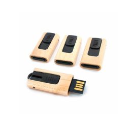 Pen Drive Ecológico Retrátil - GIPECL