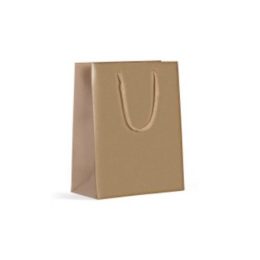 Sacola em Papel Duplex Kraft CY-20