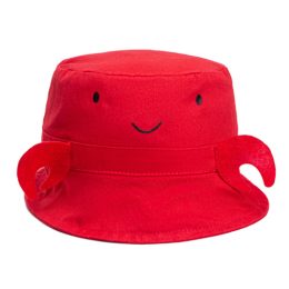 Chapéu Infantil Interativo com Faixa bone21195