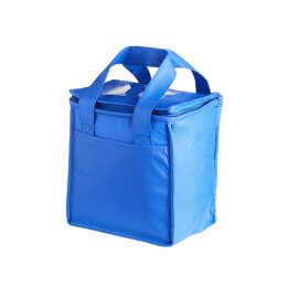 Bolsa Térmica 5 Litros 02099